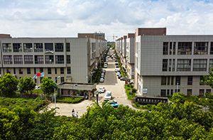 p3.jpg